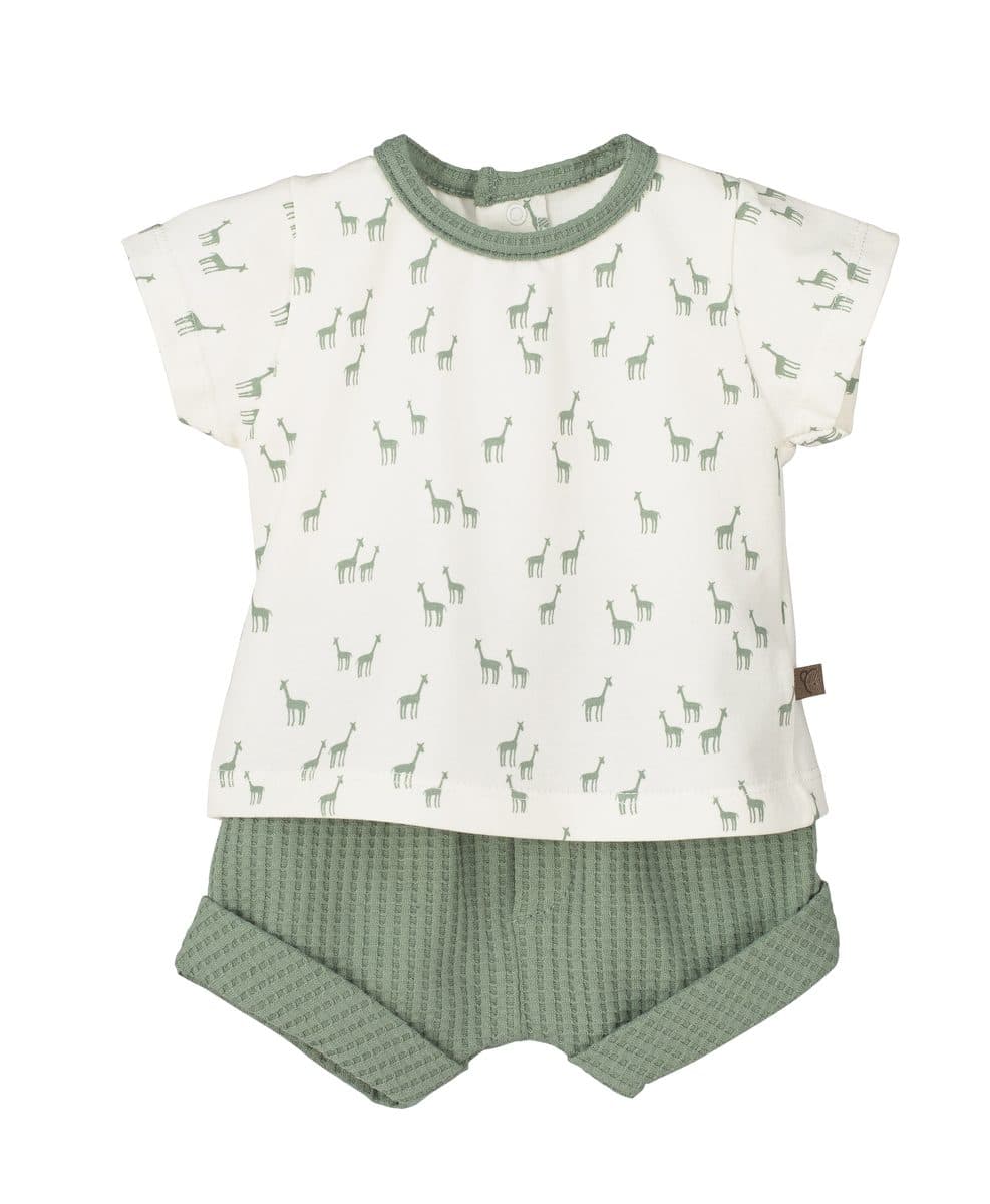 Conjunto 2 piezas: Camiseta M/C + Pololo (Verde)