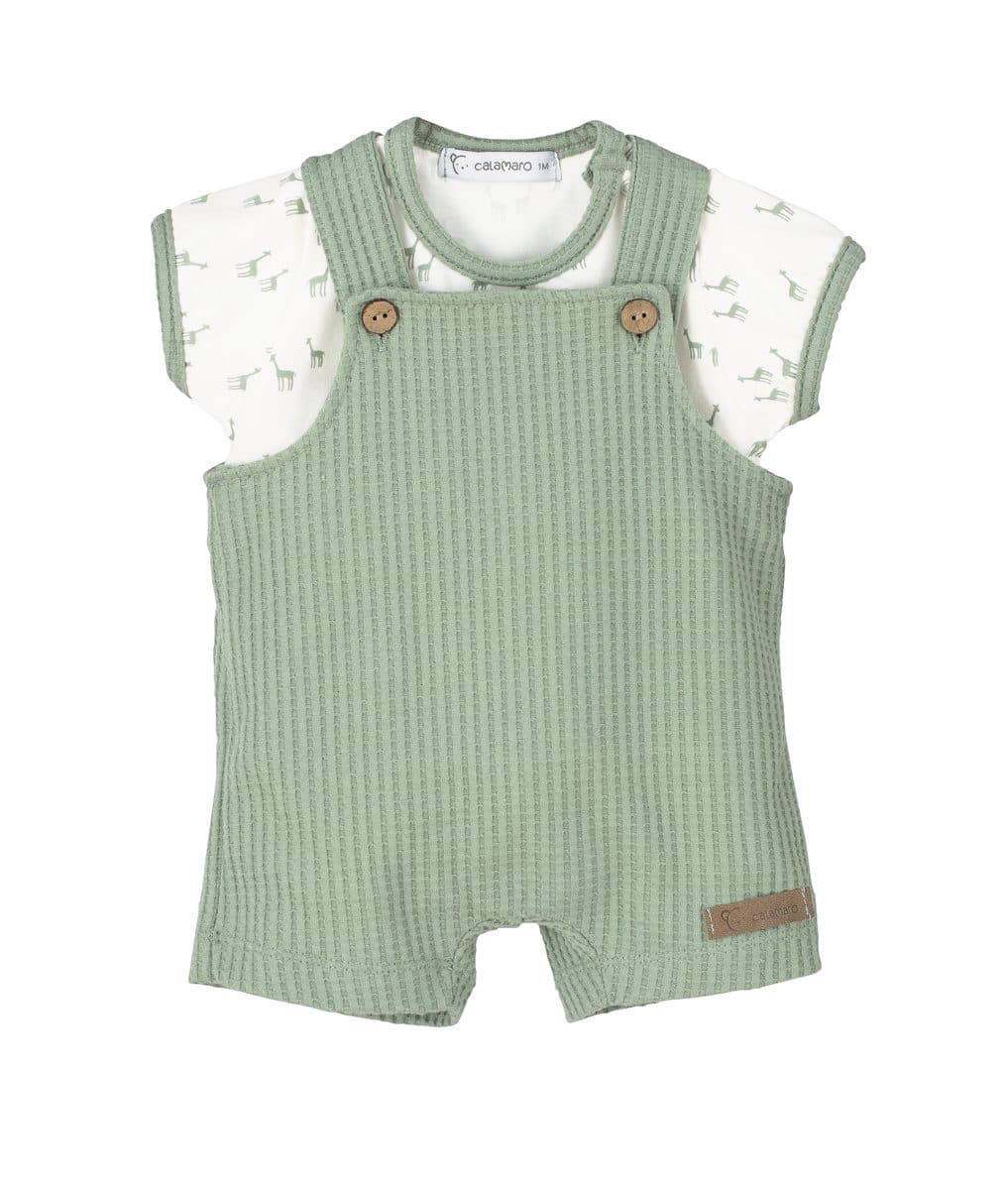 Peto M/C (Verde)
